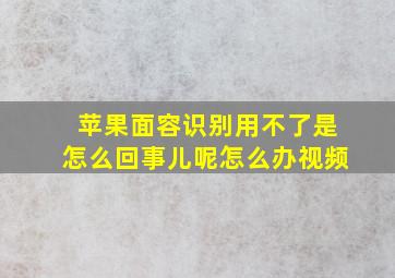 苹果面容识别用不了是怎么回事儿呢怎么办视频