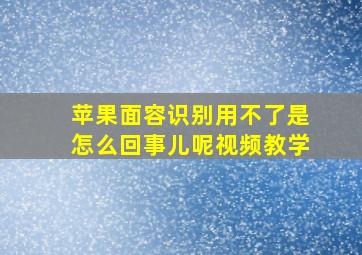 苹果面容识别用不了是怎么回事儿呢视频教学