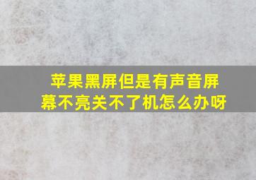 苹果黑屏但是有声音屏幕不亮关不了机怎么办呀