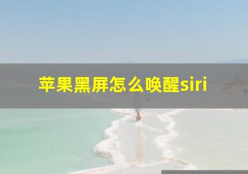 苹果黑屏怎么唤醒siri