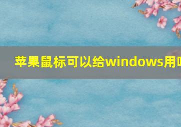 苹果鼠标可以给windows用吗