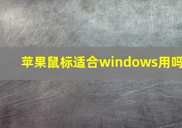 苹果鼠标适合windows用吗