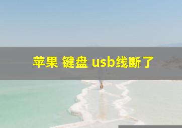 苹果 键盘 usb线断了