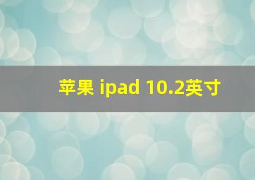 苹果 ipad 10.2英寸