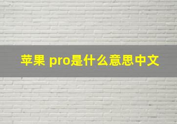 苹果 pro是什么意思中文