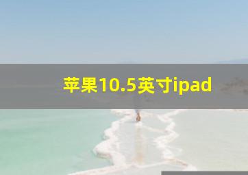 苹果10.5英寸ipad