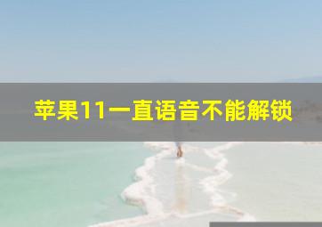 苹果11一直语音不能解锁