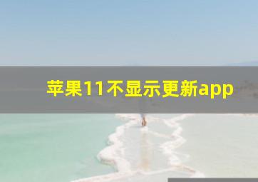 苹果11不显示更新app