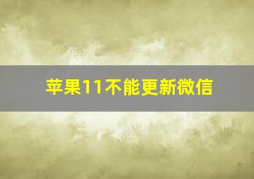 苹果11不能更新微信