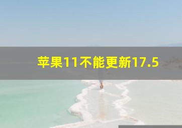 苹果11不能更新17.5