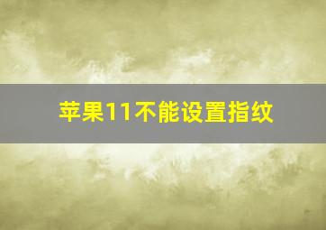 苹果11不能设置指纹