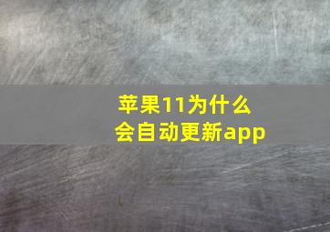 苹果11为什么会自动更新app