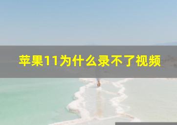 苹果11为什么录不了视频