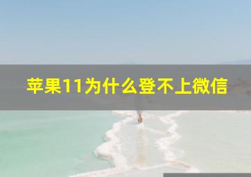 苹果11为什么登不上微信