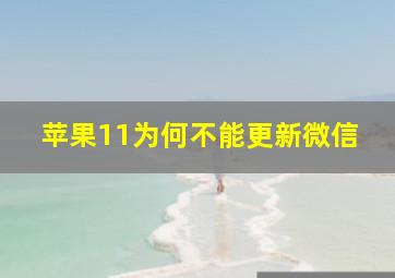 苹果11为何不能更新微信