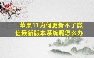 苹果11为何更新不了微信最新版本系统呢怎么办