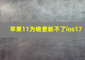 苹果11为啥更新不了ios17