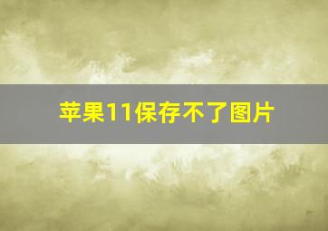 苹果11保存不了图片