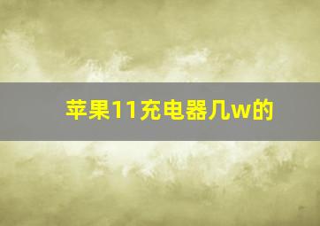 苹果11充电器几w的