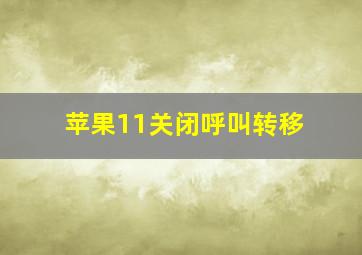 苹果11关闭呼叫转移