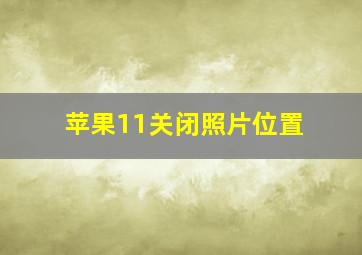 苹果11关闭照片位置