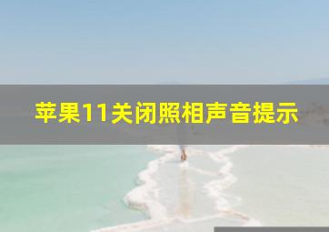 苹果11关闭照相声音提示