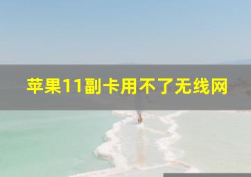 苹果11副卡用不了无线网