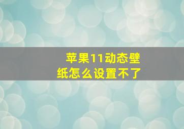 苹果11动态壁纸怎么设置不了