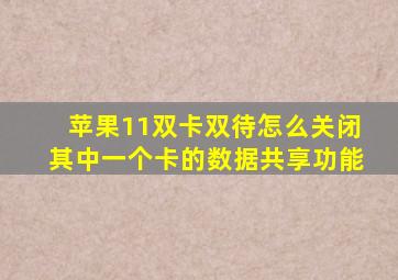 苹果11双卡双待怎么关闭其中一个卡的数据共享功能