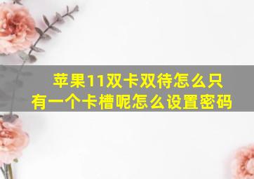 苹果11双卡双待怎么只有一个卡槽呢怎么设置密码