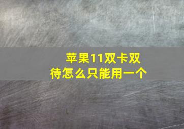 苹果11双卡双待怎么只能用一个