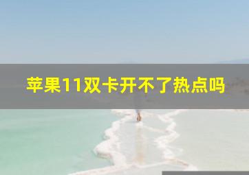 苹果11双卡开不了热点吗