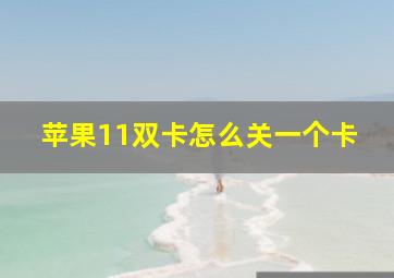 苹果11双卡怎么关一个卡