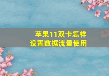 苹果11双卡怎样设置数据流量使用