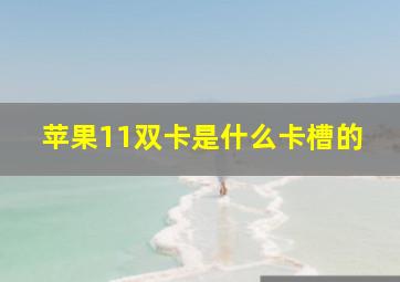 苹果11双卡是什么卡槽的