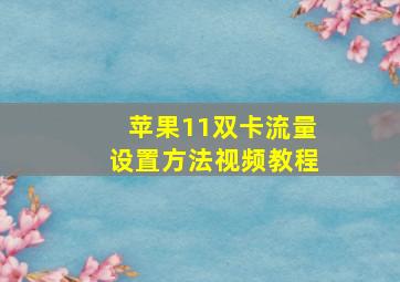 苹果11双卡流量设置方法视频教程