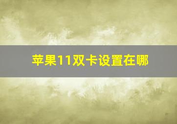 苹果11双卡设置在哪