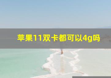 苹果11双卡都可以4g吗