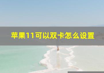 苹果11可以双卡怎么设置