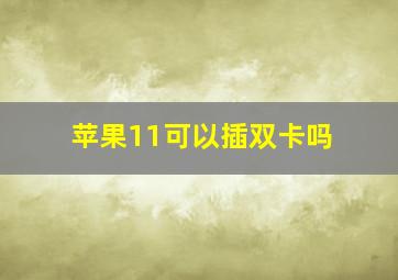 苹果11可以插双卡吗