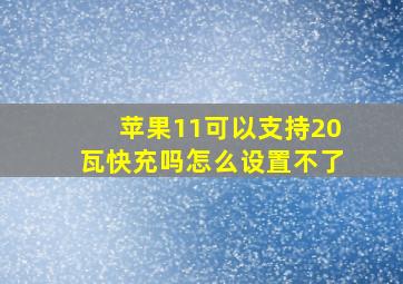 苹果11可以支持20瓦快充吗怎么设置不了