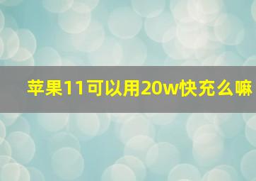 苹果11可以用20w快充么嘛