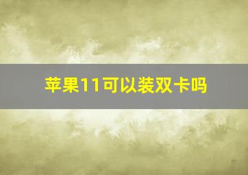 苹果11可以装双卡吗