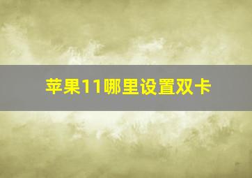 苹果11哪里设置双卡