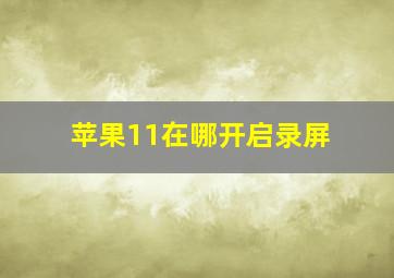 苹果11在哪开启录屏