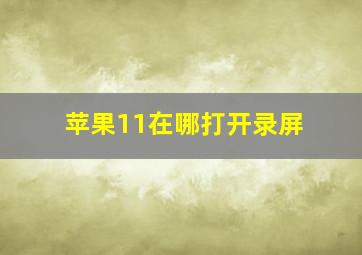 苹果11在哪打开录屏