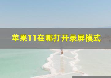 苹果11在哪打开录屏模式