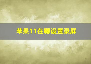 苹果11在哪设置录屏