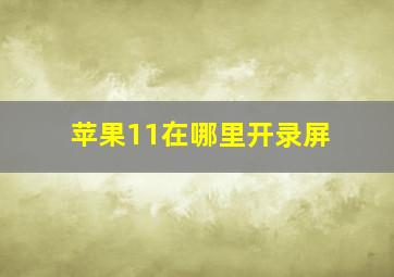 苹果11在哪里开录屏