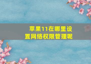 苹果11在哪里设置网络权限管理呢